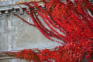 006_mikulov.jpg