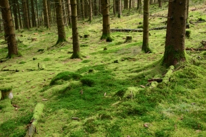 01-siegen-las.jpg