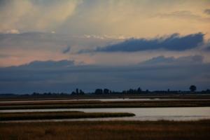 01s309_Lido_di_Spina.jpg