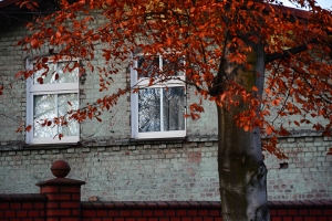 Nazwa pliku=02_chorzow-batory-slask.jpg
Wielkość pliku=456KiB
Rozmiar=780x520
Data dodania= 20, Listopad 2016 02_chorzow-batory-slask.jpg