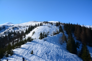 Nazwa pliku=02_ciemniak_7_04_19.jpg
Wielkość pliku=886KiB
Rozmiar=1299x867
Data dodania= 19, Kwiecień 2019 02_ciemniak_7_04_19.jpg
