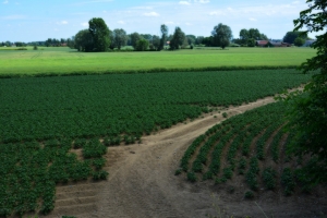 02_steenwerck.jpg