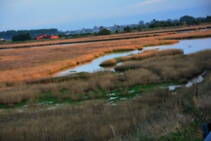 02s309_Lido_di_Spina.jpg