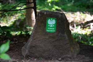Nazwa pliku=03-jeziorka-duszatynskie.jpg
Wielkość pliku=388KiB
Rozmiar=780x520
Data dodania= 13, Sierpień 2016 03-jeziorka-duszatynskie.jpg