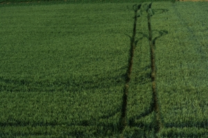 05_steenwerck.jpg