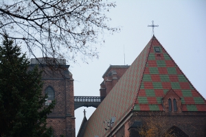 067_wroclaw-2017.jpg