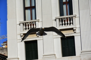 071-Venezia-foto.jpg