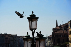 078-Venezia-foto.jpg