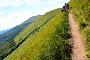 08-halicz-tarnica.jpg