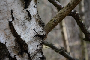 10_allertal-a7-las.jpg