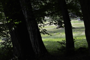 Nazwa pliku=119-ojcowski-park-narodowy.jpg
Wielkość pliku=259KiB
Rozmiar=780x520
Data dodania= 17, Sierpień 2017 119-ojcowski-park-narodowy.jpg