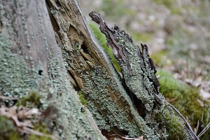 11_allertal-a7-las.jpg