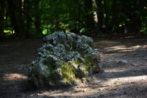 Nazwa pliku=121-ojcowski-park-narodowy.jpg
Wielkość pliku=299KiB
Rozmiar=780x520
Data dodania= 17, Sierpień 2017 121-ojcowski-park-narodowy.jpg