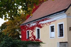 122_mikulov.jpg