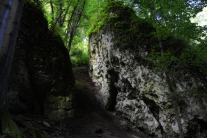 Nazwa pliku=128-ojcowski-park-narodowy.jpg
Wielkość pliku=330KiB
Rozmiar=780x520
Data dodania= 17, Sierpień 2017 128-ojcowski-park-narodowy.jpg