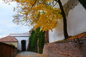 130_mikulov.jpg