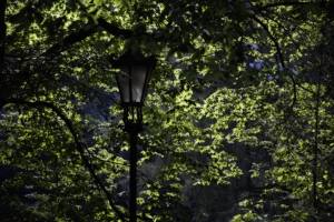 Nazwa pliku=134-ojcowski-park-narodowy.jpg
Wielkość pliku=410KiB
Rozmiar=780x520
Data dodania= 17, Sierpień 2017 134-ojcowski-park-narodowy.jpg