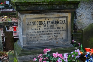 Nazwa pliku=137_wawa_powazki_2016-2017.jpg
Wielkość pliku=405KiB
Rozmiar=780x520
Data dodania= 07, Styczeń 2017 137_wawa_powazki_2016-2017.jpg