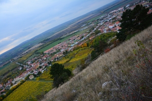 139_mikulov.jpg