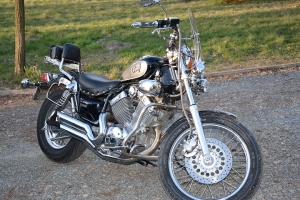 13_virago535.jpg