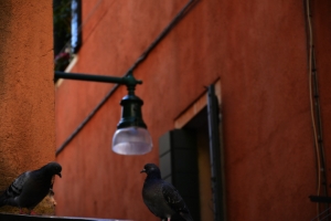 145-Venezia-foto.jpg
