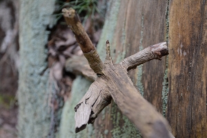 14_allertal-a7-las.jpg