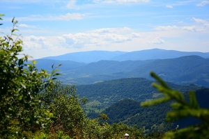 Nazwa pliku=16-halicz-tarnica.jpg
Wielkość pliku=359KiB
Rozmiar=780x520
Data dodania= 30, Lipiec 2016 16-halicz-tarnica.jpg