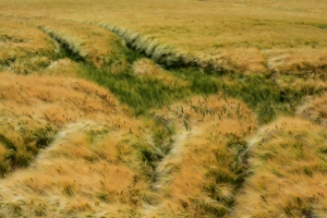 16_steenwerck.jpg
