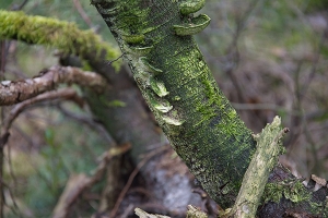 18_allertal-a7-las.jpg