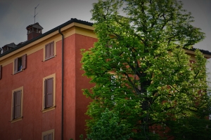 Nazwa pliku=18_modena_italia.jpg
Wielkość pliku=405KiB
Rozmiar=780x520
Data dodania= 08, Maj 2016 18_modena_italia.jpg