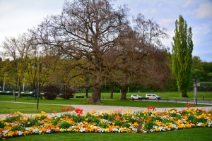 18_worthersee.jpg
