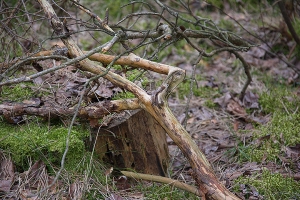 19_allertal-a7-las.jpg