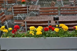 19_wurzburg.jpg