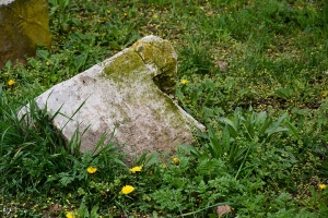 200_wurzburg.jpg