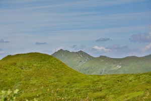 25-halicz-tarnica.jpg