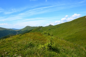 Nazwa pliku=31-halicz-tarnica.jpg
Wielkość pliku=402KiB
Rozmiar=780x520
Data dodania= 30, Lipiec 2016 31-halicz-tarnica.jpg