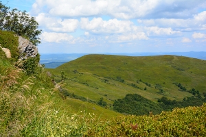 Nazwa pliku=33-halicz-tarnica.jpg
Wielkość pliku=441KiB
Rozmiar=780x520
Data dodania= 30, Lipiec 2016 33-halicz-tarnica.jpg