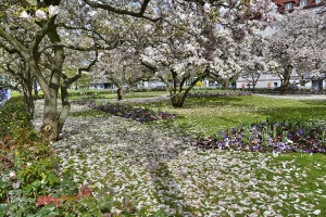 34_wurzburg.jpg
