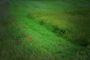 36_st-dizier_france.jpg