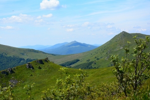 Nazwa pliku=37-halicz-tarnica.jpg
Wielkość pliku=373KiB
Rozmiar=780x520
Data dodania= 30, Lipiec 2016 37-halicz-tarnica.jpg