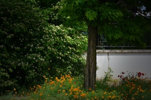 37_st-dizier_france.jpg