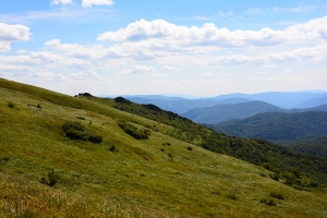 Nazwa pliku=38-halicz-tarnica.jpg
Wielkość pliku=378KiB
Rozmiar=780x520
Data dodania= 30, Lipiec 2016 38-halicz-tarnica.jpg