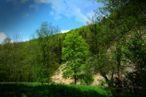 Nazwa pliku=48_rudawka-rymanowska.jpg
Wielkość pliku=459KiB
Rozmiar=780x520
Data dodania= 11, Maj 2016 48_rudawka-rymanowska.jpg