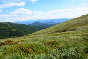 Nazwa pliku=50-halicz-tarnica.jpg
Wielkość pliku=468KiB
Rozmiar=780x520
Data dodania= 30, Lipiec 2016 50-halicz-tarnica.jpg