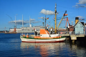 50_kilonia_niemcy.jpg