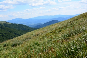 Nazwa pliku=53-halicz-tarnica.jpg
Wielkość pliku=481KiB
Rozmiar=780x520
Data dodania= 30, Lipiec 2016 53-halicz-tarnica.jpg