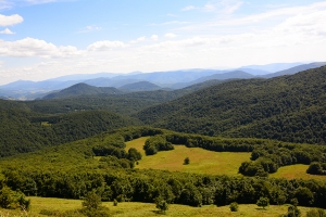 Nazwa pliku=54-halicz-tarnica.jpg
Wielkość pliku=396KiB
Rozmiar=780x520
Data dodania= 30, Lipiec 2016 54-halicz-tarnica.jpg