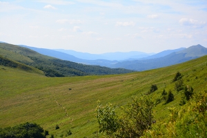 56-halicz-tarnica.jpg
