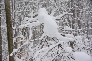 Nazwa pliku=56_Szeroki_Wierch_Bieszczady.jpg
Wielkość pliku=468KiB
Rozmiar=860x574
Data dodania= 10, Styczeń 2019 56_Szeroki_Wierch_Bieszczady.jpg