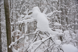 56_Szeroki_Wierch_Bieszczady.jpg